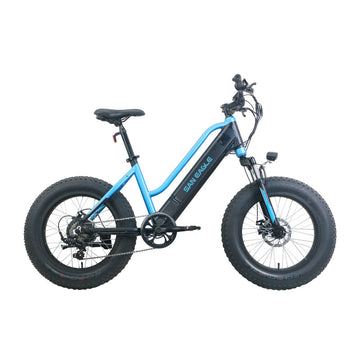 The Ultimate Guide to Fat Tire Cruiser E-Bikes