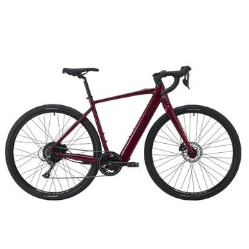 Electric Gravel Bike